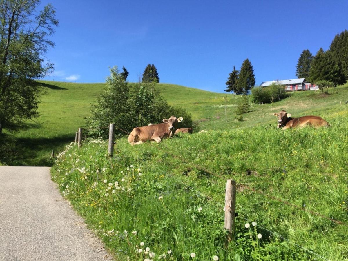 Sehnsucht-Allgaeu Oberstaufen Luaran gambar
